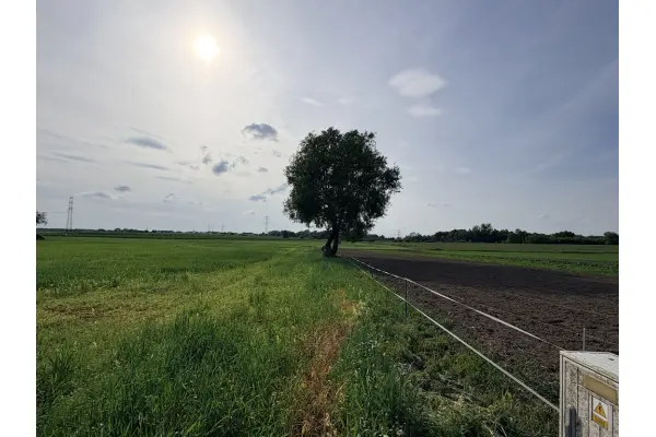 zachodniopomorskie, Policki, Police, Przęsocin, Atrakcyjna działka inwestycyjna - Szczecin