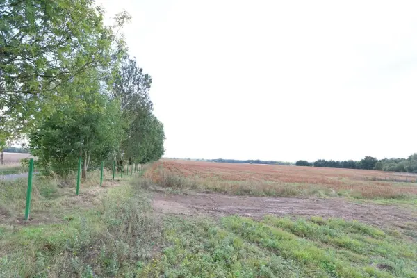 zachodniopomorskie, Goleniowski, Maszewo, Dębice, Działka w Dębicach