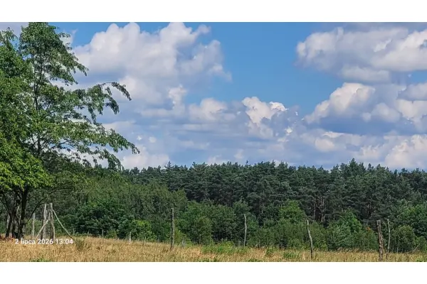 zachodniopomorskie, Choszczeński, Drawno, Wiśniewo, Działka na sprzedaż