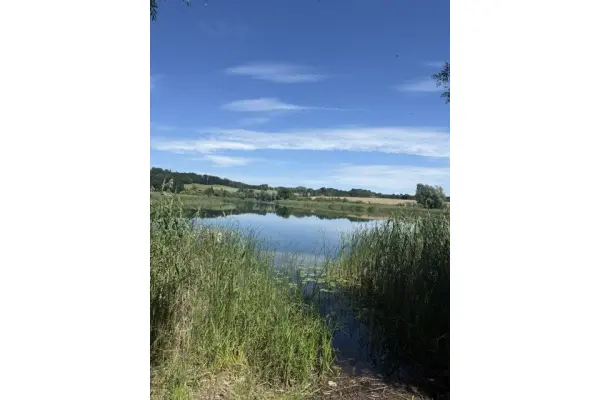zachodniopomorskie, Gryfiński, Stare Czarnowo, Binowo, Działka do dzierżawy