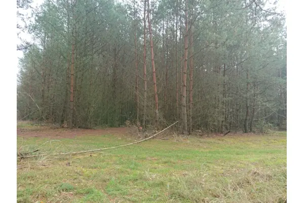 zachodniopomorskie, Choszczeński, Bierzwnik, Starzyce, Działka na sprzedaż