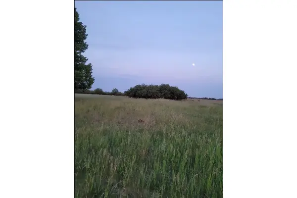 zachodniopomorskie, Goleniowski, Goleniów, Lubczyna, Działka na sprzedaż