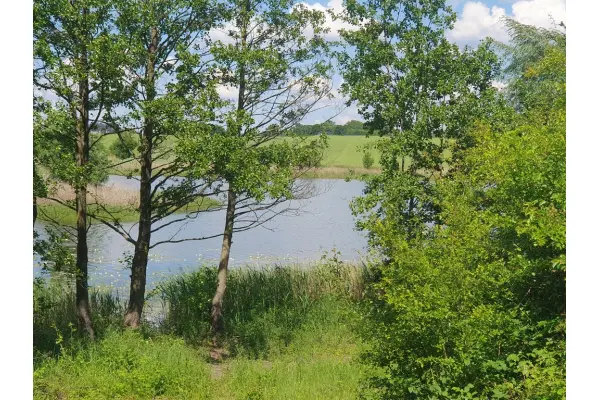 zachodniopomorskie, Choszczeński, Bierzwnik, Zieleniewo, Działka na sprzedaż