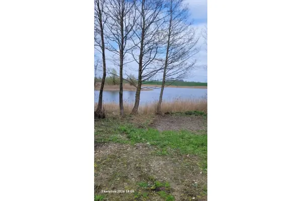 zachodniopomorskie, Choszczeński, Bierzwnik, Zieleniewo, Działka na sprzedaż