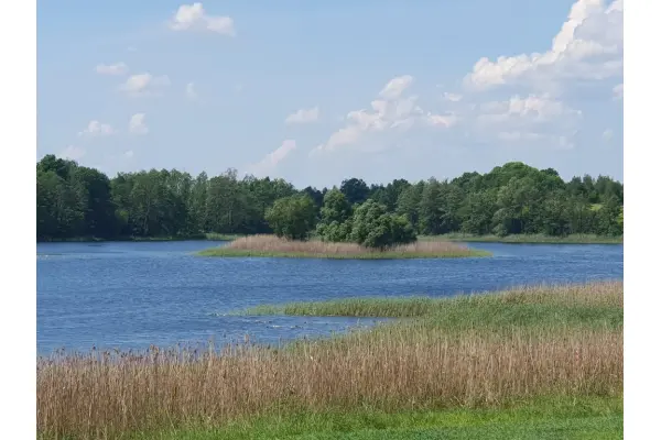 zachodniopomorskie, Choszczeński, Bierzwnik, Zieleniewo, Działka na sprzedaż