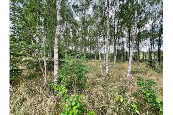 zachodniopomorskie, Stargardzki, Ińsko, Storkowo, Działka blisko Inska o pow. 3412 m2