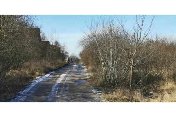 zachodniopomorskie, Policki, Dobra (Szczecińska), Bezrzecze, Działka 610 m2 Bezrzecze ul. Bazyliowa