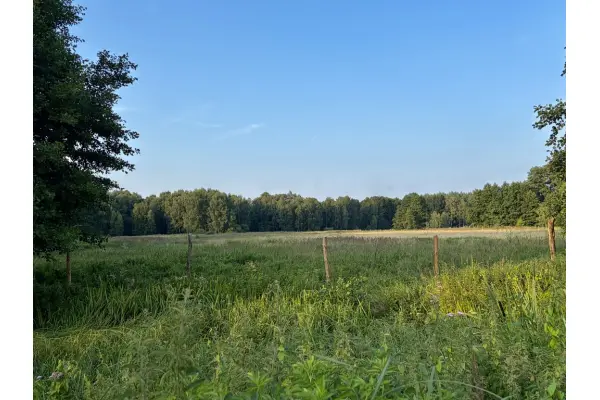 zachodniopomorskie, Policki, Police, Tanowo, Działka rolna 9 846 m² przy lesie | Tanowo