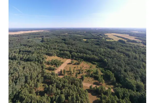 zachodniopomorskie, Goleniowski, Osina, Kompleks działek dla dewelopera