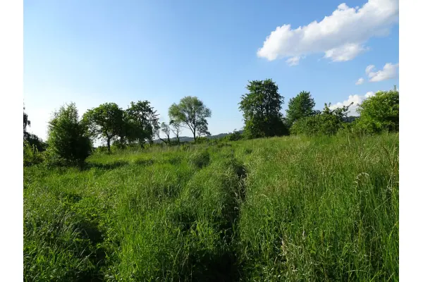 zachodniopomorskie, Gryfiński, Stare Czarnowo, Binowo, Binowo działka blisko jeziora, 1962 m2 150 zł/m2