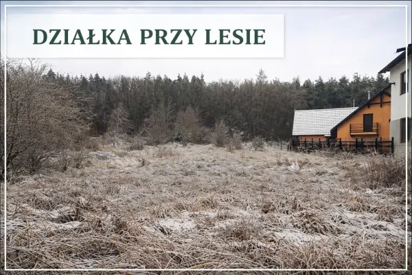 zachodniopomorskie, Policki, Police, Pilchowo, Na sprzedaż działka przy lesie