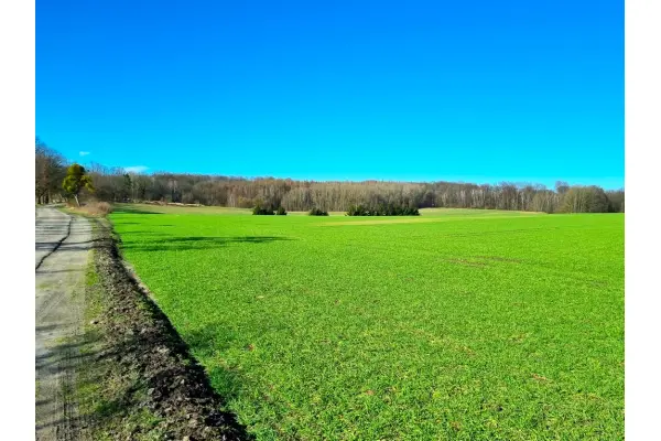 zachodniopomorskie, Gryfiński, Stare Czarnowo, Kołowo, Unikalna działka w Kołowie przy Puszczy Bukowej