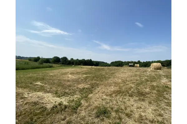 zachodniopomorskie, Gryfiński, Stare Czarnowo, Glinna, ostatnie działki_Atrakcyjna działka Glinna