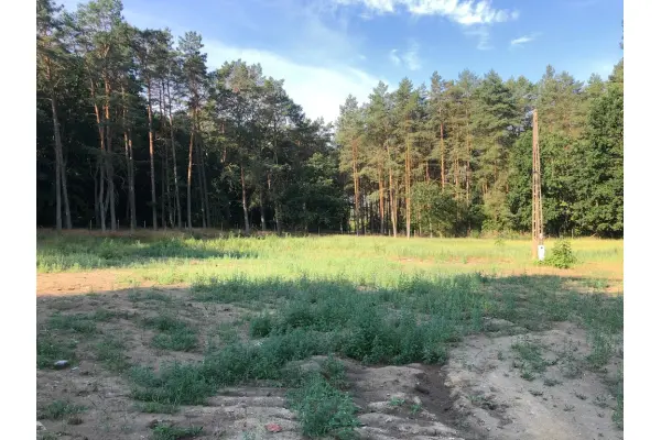 zachodniopomorskie, Policki, Police, Trzebież, TRZEBIEŻ DZIAŁKA 1952m2 OTOCZONA LASEM
