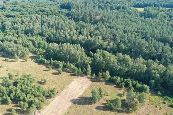 zachodniopomorskie, Goleniowski, Osina, Krzywice, DZIAŁKA POD LASEM Z WARUNKAMI ZABUDOWY