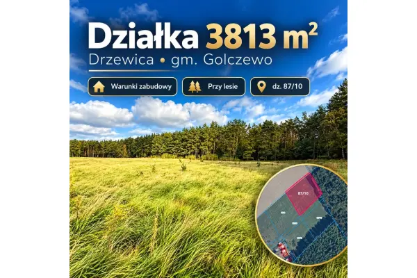 zachodniopomorskie, Kamieński, Golczewo, Drzewica, Działka na sprzedaż
