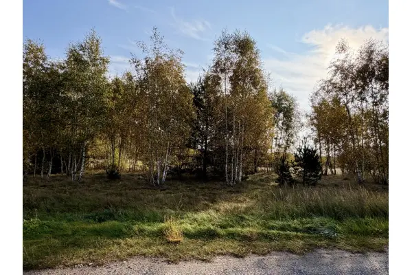 zachodniopomorskie, Goleniowski, Goleniów, Miękowo, Miękowo | Duża działka przy lesie – 3 980 m² | 796 000 zł