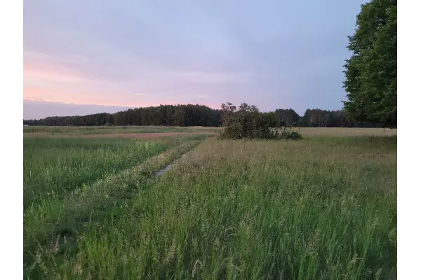 zachodniopomorskie, Goleniowski, Goleniów, Lubczyna, Działka na sprzedaż