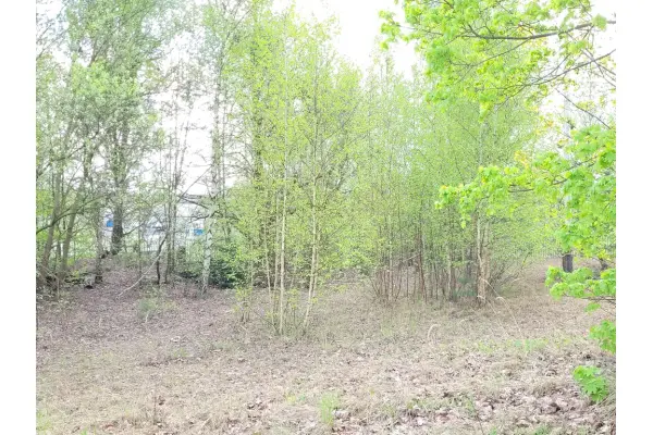 zachodniopomorskie, Choszczeński, Recz, Działka na sprzedaż