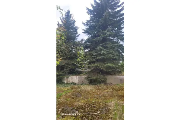 zachodniopomorskie, Choszczeński, Recz, Kolejowa, Działka na sprzedaż