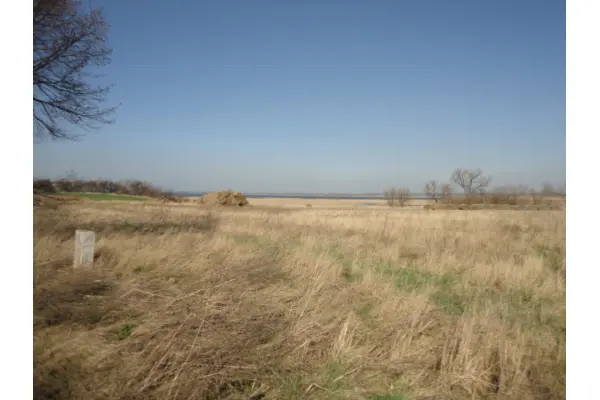 zachodniopomorskie, Pyrzycki, Pyrzyce, Turze, Turze, z pięknym widokiem na jezioro Miedwie