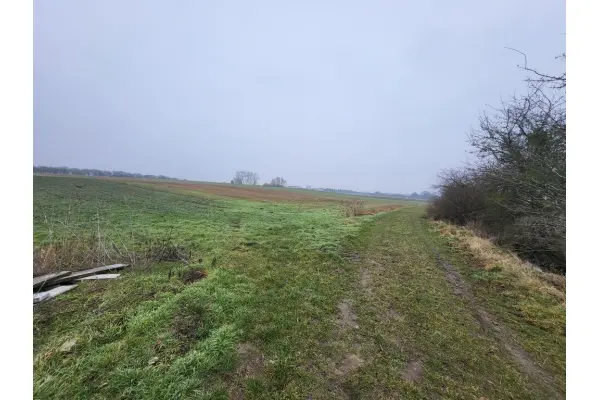 zachodniopomorskie, Policki, Kołbaskowo, Warzymice, Warzymice / działki po 3000 m2