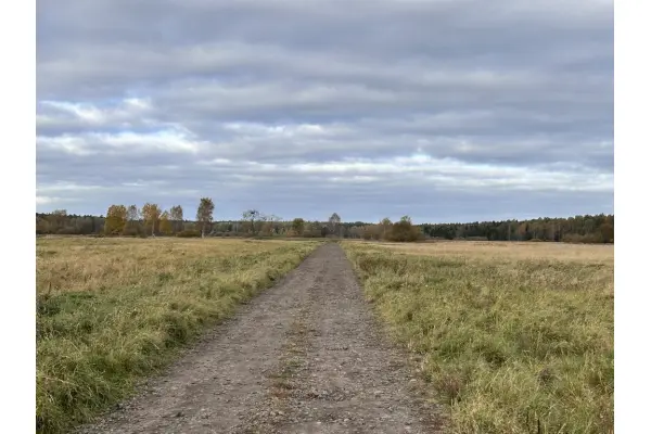 zachodniopomorskie, Stargardzki, Kobylanka, Niedźwiedź, Duża działka budowlana - pod dom jednorodzinny