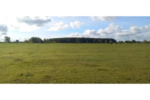 zachodniopomorskie, Goleniowski, Goleniów, Borzysławiec, DZIAŁKA 1947 m2 z WZ W POBLIŻU J.DABIE-NOWA CENA!!