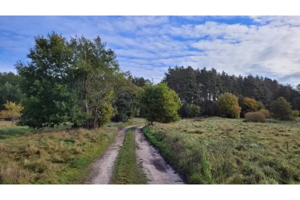 zachodniopomorskie, Kamieński, Wolin, Warnowo, Warnowo Działka z planem zagospodarowania