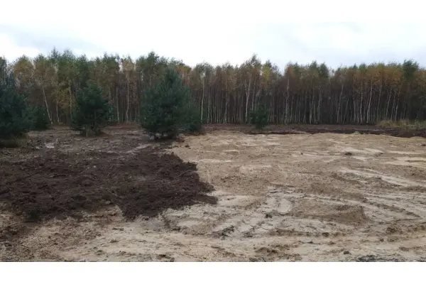 zachodniopomorskie, Gryficki, Gryfice, Borzyszewo, Działka budowlana warunkami zabudowy 25km od morza