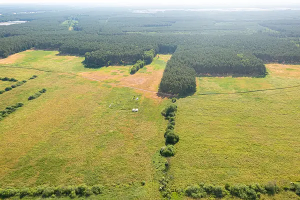zachodniopomorskie, Goleniowski, Goleniów, Komarowo, Działka 3167 m2 blisko lasu