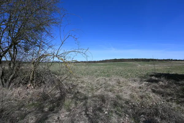 zachodniopomorskie, Policki, Dobra (Szczecińska), Buk, Działka Buk !!! 13579 m2 !!!