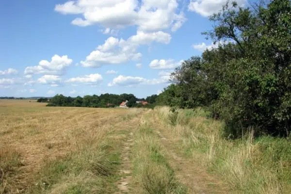 zachodniopomorskie, Policki, Kołbaskowo, Barnisław, Barnisław, działka rolna o powierzchni 4,7 ha