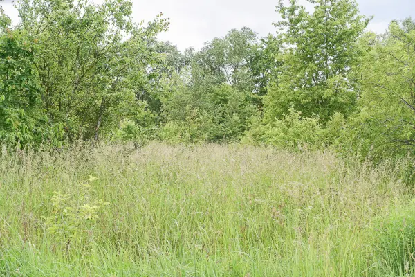 zachodniopomorskie, Policki, Dobra (Szczecińska), Dobra, Dobra działka budowlana 796 m2, media