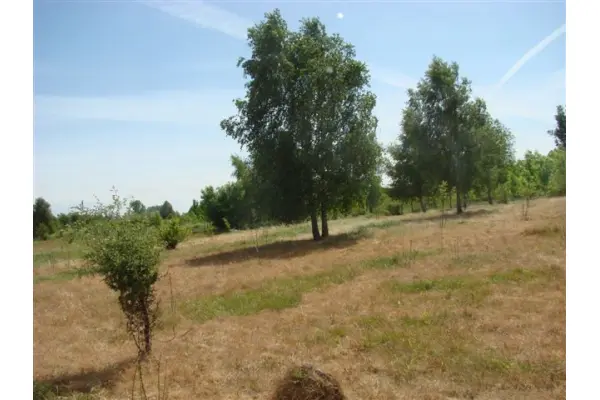 zachodniopomorskie, Stargardzki, Stargard, Stara Dąbrowa działka m2 65 zł/m2
