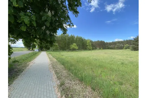 zachodniopomorskie, Policki, Dobra (Szczecińska), Buk, Działki pod lasem