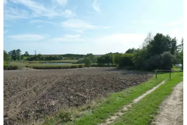 zachodniopomorskie, Choszczeński, Bierzwnik, Zieleniewo, Działka rolna w Zieleniewie.