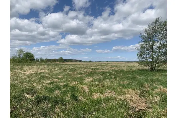 zachodniopomorskie, Goleniowski, Goleniów, Kliniska Wielkie, Bażancia, Działka w Kliniskach