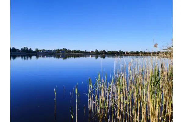 zachodniopomorskie, Stargardzki, Marianowo, Wiechowo, Ciche miejsce, 150 m do jeziora