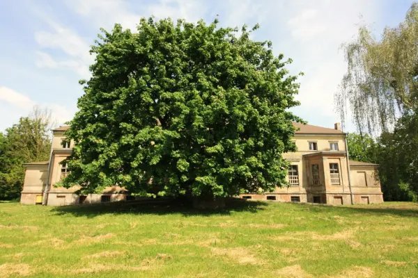 zachodniopomorskie, Stargardzki, Stargard, Strzyżno, Sprzedaż pałacu, wyjątkowa nieruchomość-Nowa cena