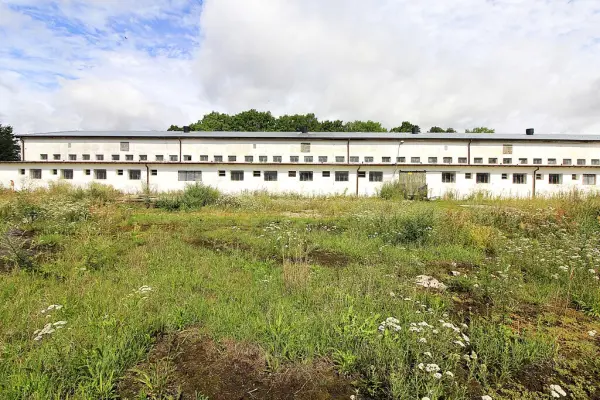 zachodniopomorskie, Stargardzki, Stargard, Strzyżno, Na sprzedaż: Nieruchomość gruntowa zabudowana