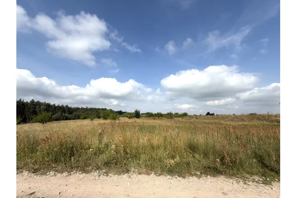 zachodniopomorskie, Gryfiński, Gryfino, Daleszewo, Działka budowlana na sprzedaż przy lesie.