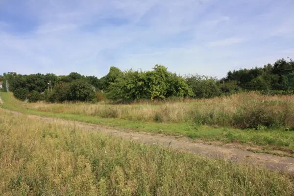zachodniopomorskie, Stargardzki, Ińsko, Ińsko - sprzedaż działki budowlanej